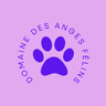 Domaine des Anges Félins